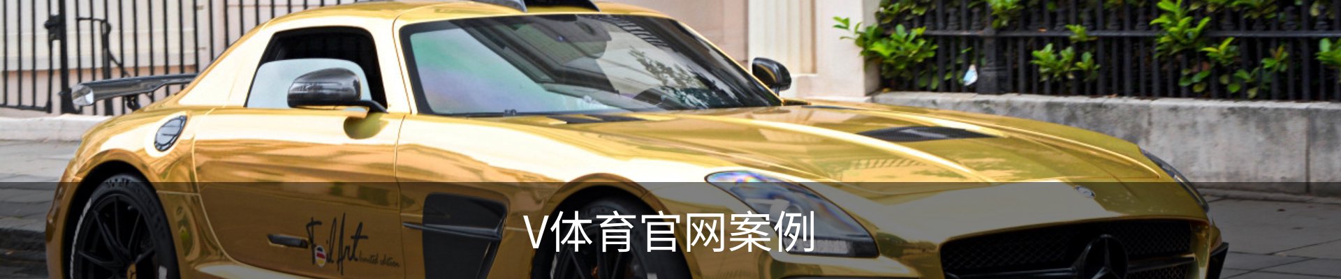 V体育官网案例